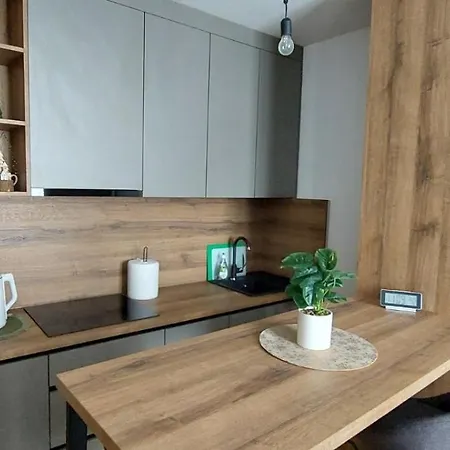 アパート A1 1 Vucko Private Host ヤホリナ